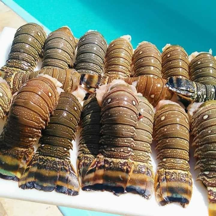 Pousada A Vida é Bela Águas Belas Exterior foto
